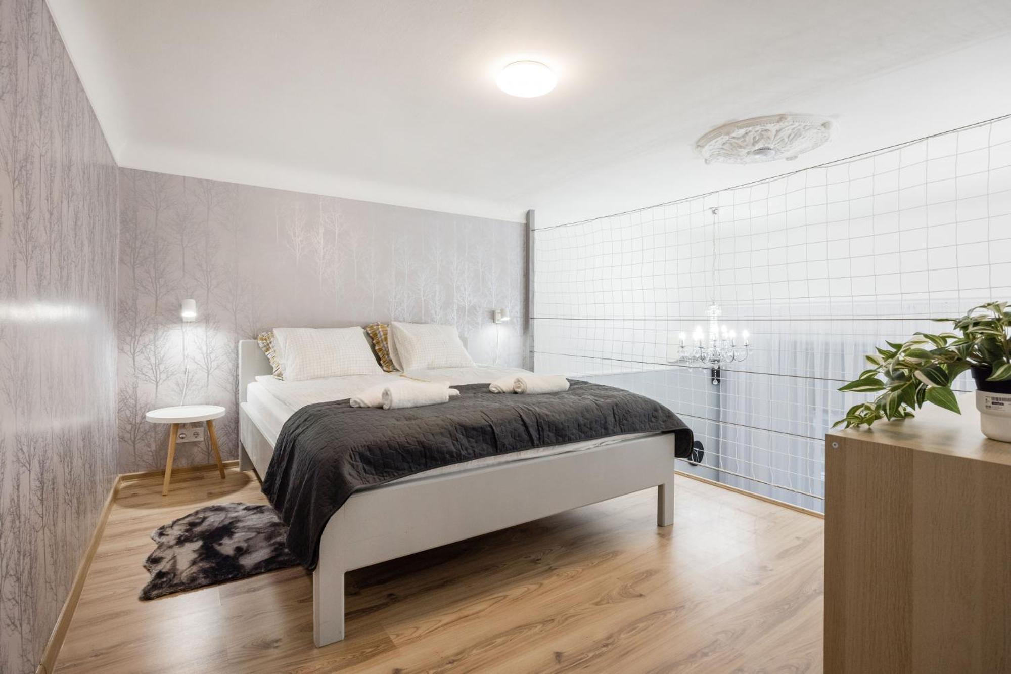 Apartment Spacious And Charming In The Centre