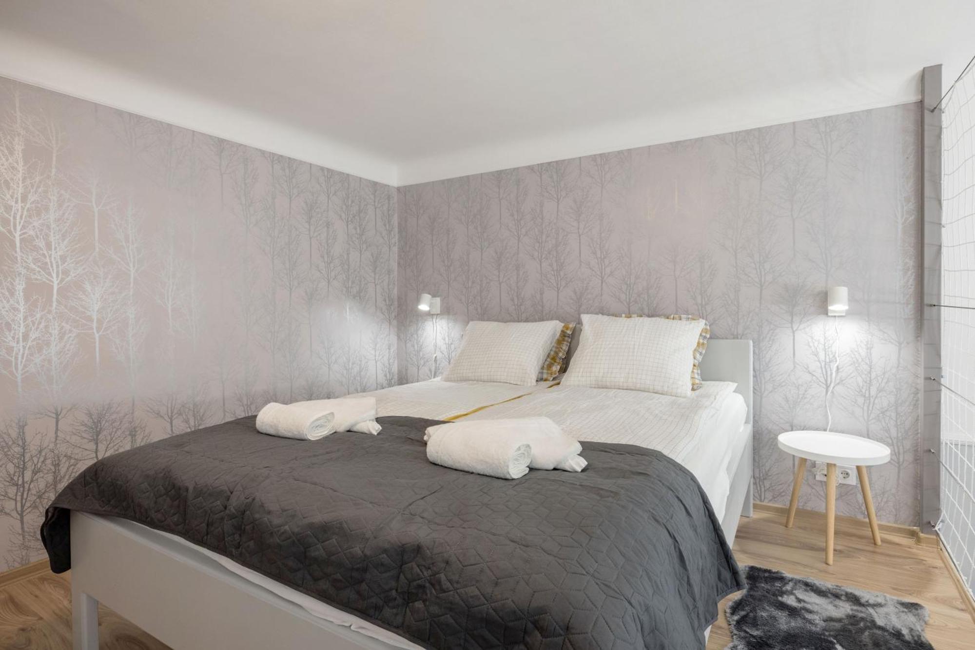 Apartment Spacious And Charming In The Centre